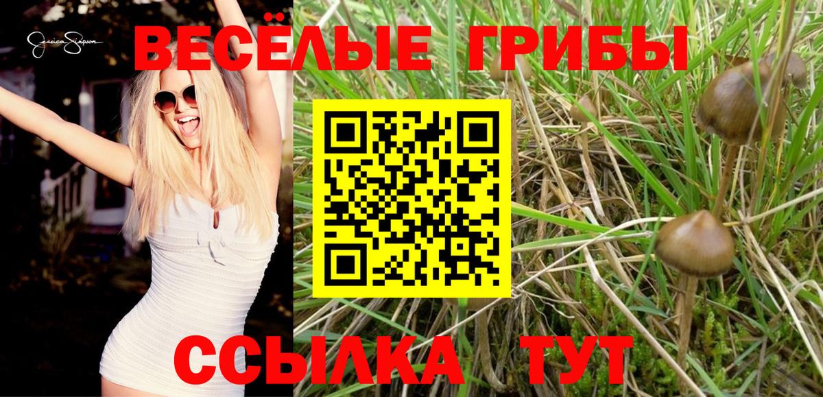 Псилоцибиновые грибы Psilocybe  Галлюциногенные грибы мухоморы  Вход с VPN  хочу   Карабулак 
