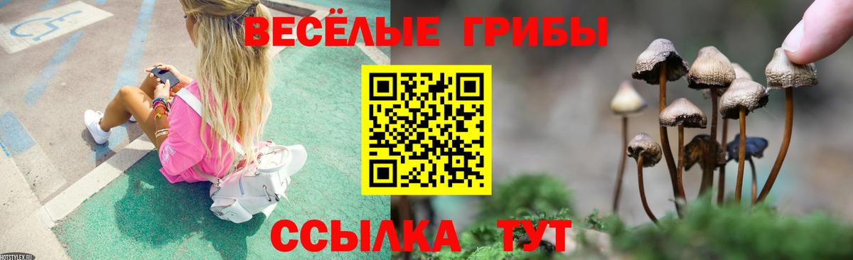 Псилоцибиновые грибы Psilocybe Карабулак
